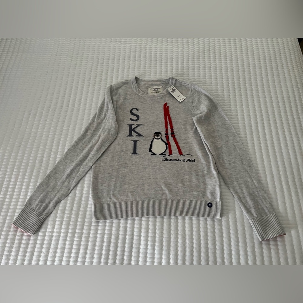 Abercrombie & Fitch Sweater
